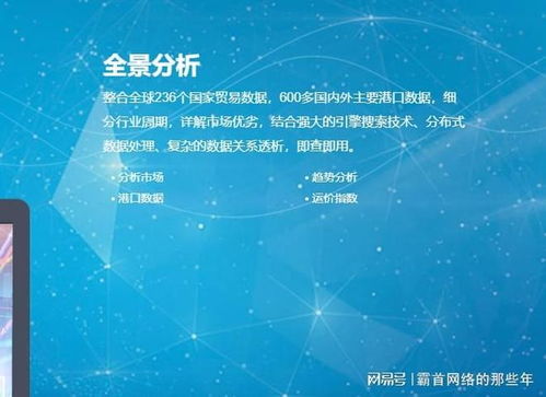 2025年海關數據公司選擇指南 實力、口碑與避坑全解析